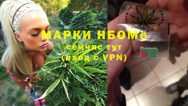 крисы Алзамай